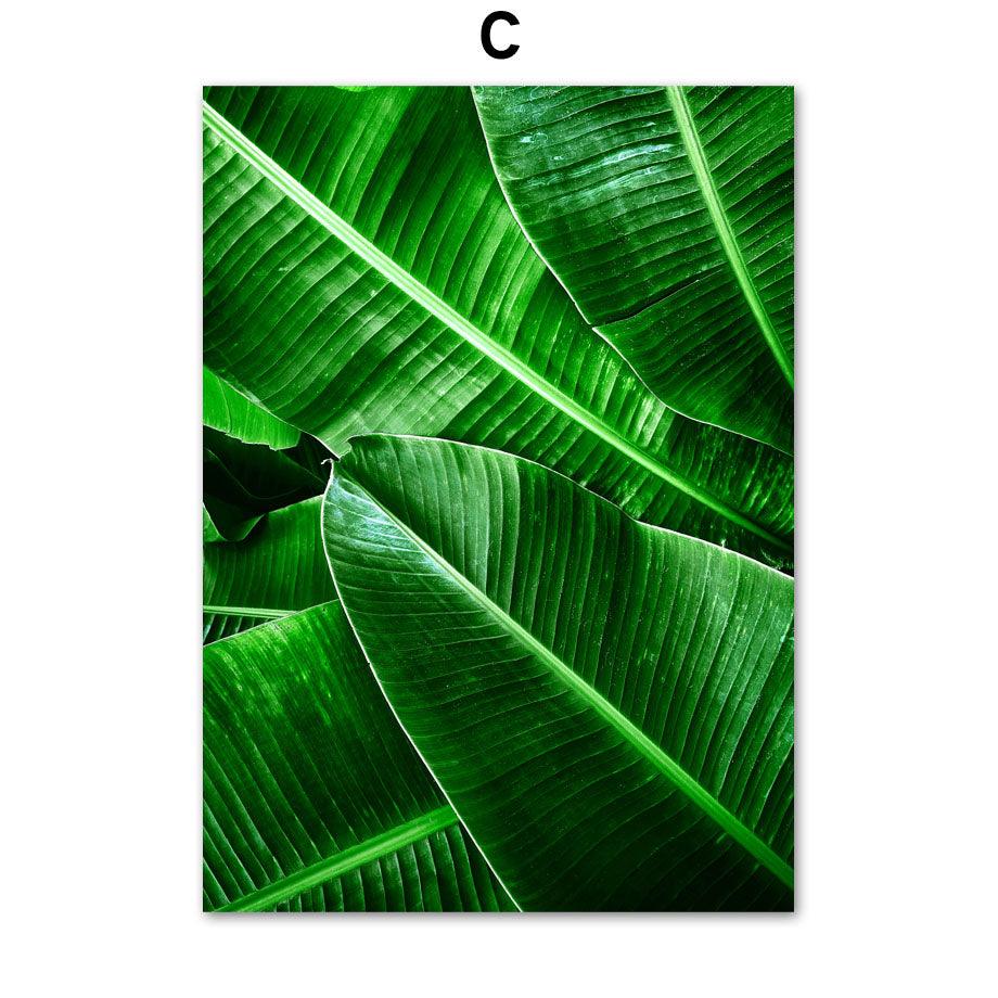 Home Decor Green Plant Canvas - Premium 0 from chiquetrends.com - Just $10! Shop now at chiquetrends.com