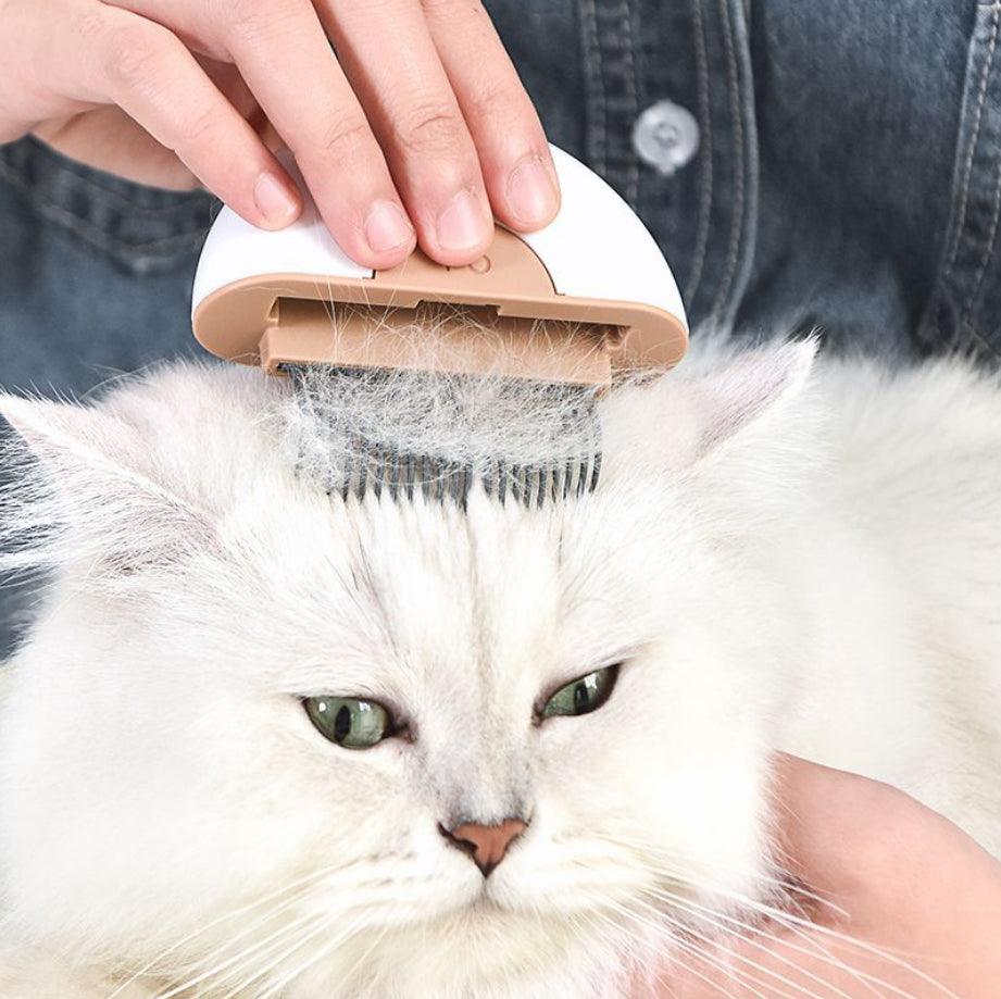 Cat Comb | Grooming And - Premium Pet Combs & Brushes from chiquetrends.com - Just $48! Shop now at chiquetrends.com