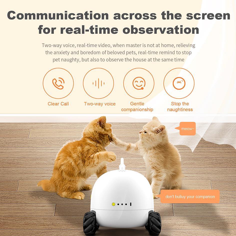 Rocki Robots With Pet Treat - Premium  from chiquetrends.com - Just $792! Shop now at chiquetrends.com