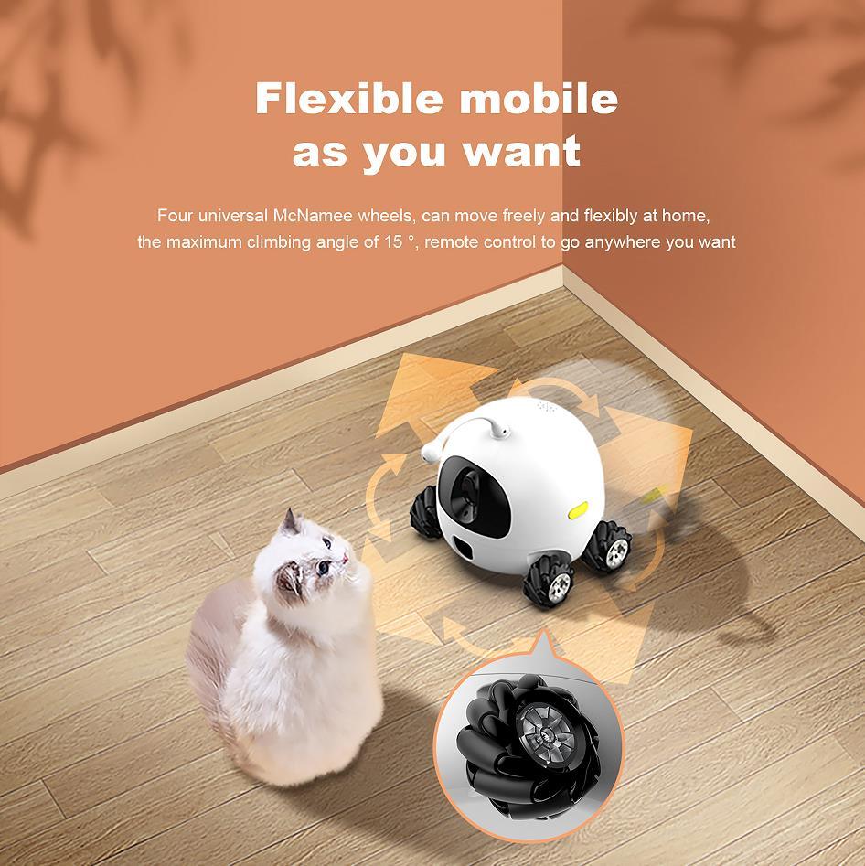 Rocki Robots With Pet Treat - Premium  from chiquetrends.com - Just $792! Shop now at chiquetrends.com