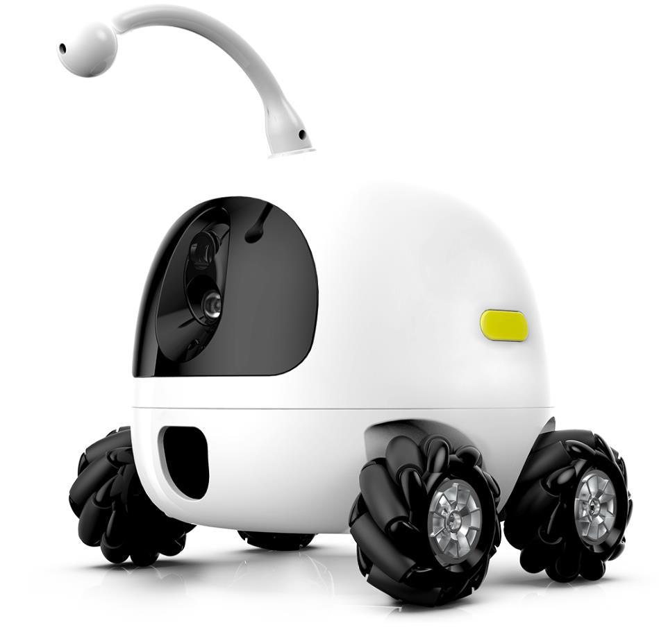 Rocki Robots With Pet Treat - Premium  from chiquetrends.com - Just $792! Shop now at chiquetrends.com