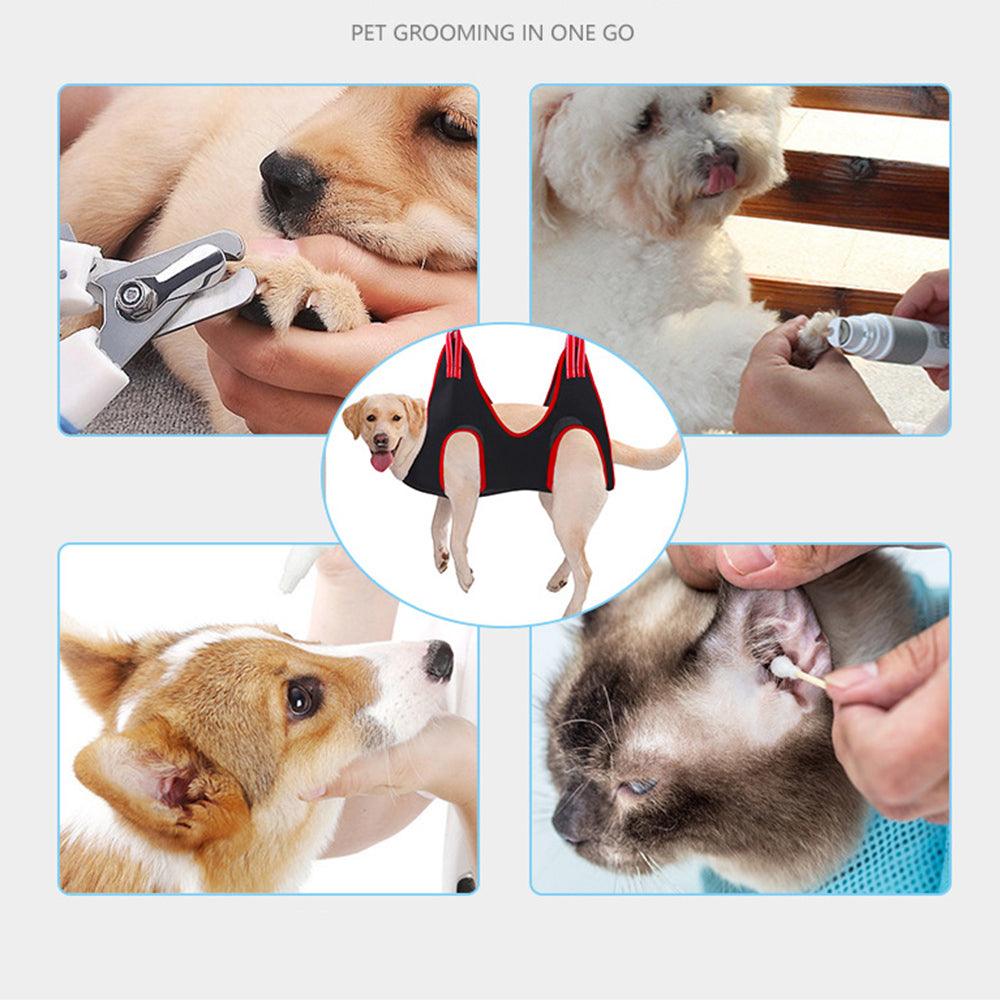 Puppy Dogs Cat Grooming - Premium  from chiquetrends.com - Just $23! Shop now at chiquetrends.com