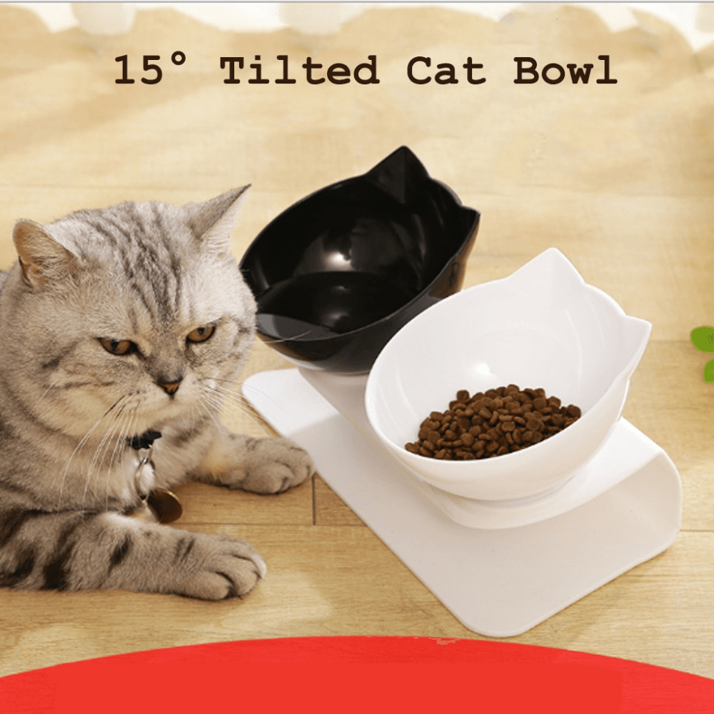 Pet Bowl for Feeding Dogs Cats - Premium  from chiquetrends.com - Just $13! Shop now at chiquetrends.com