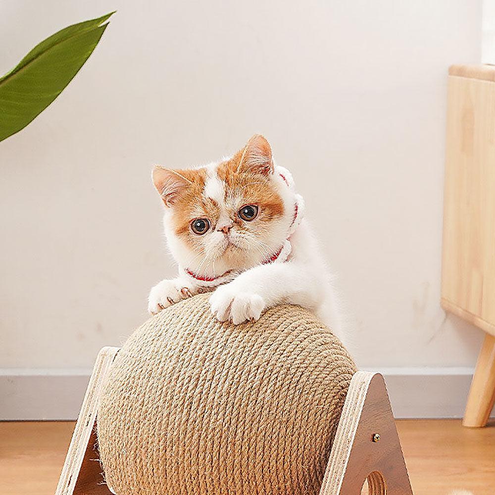 Paw Cat Scratching Ball Frame - Premium  from chiquetrends.com - Just $28! Shop now at chiquetrends.com