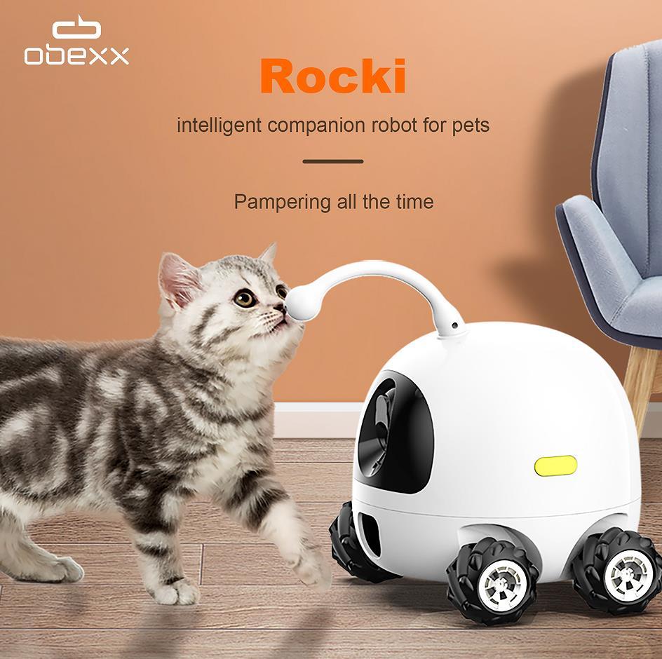 Rocki Robots With Pet Treat - Premium  from chiquetrends.com - Just $792! Shop now at chiquetrends.com