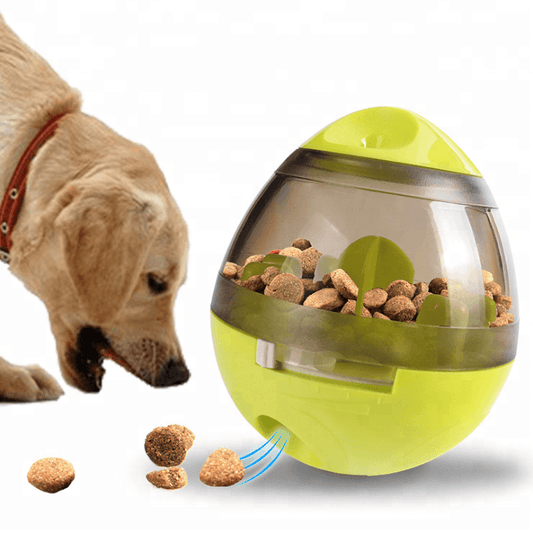 New dog activity interactive - Premium  from chiquetrends.com - Just $19! Shop now at chiquetrends.com