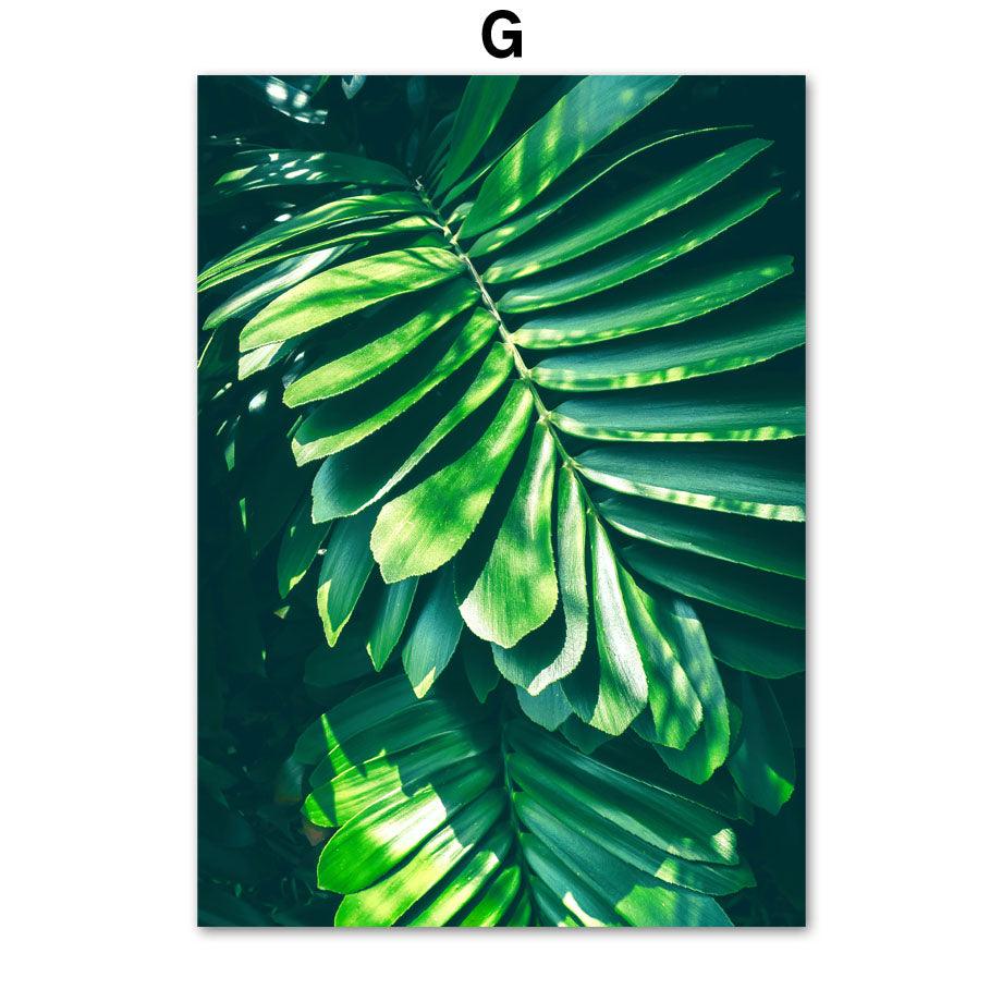 Home Decor Green Plant Canvas - Premium 0 from chiquetrends.com - Just $10! Shop now at chiquetrends.com