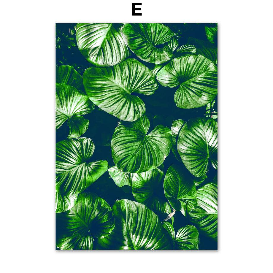 Home Decor Green Plant Canvas - Premium 0 from chiquetrends.com - Just $10! Shop now at chiquetrends.com